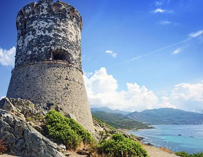 Superbe Pieds Dans L'eau - Parking Gratuit - Terrasse - Emplacement Ideal Dans De Standing Lägenhet Ajaccio (Corsica)