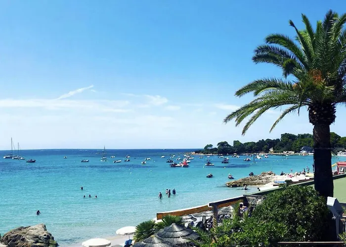 Superbe Pieds Dans L'eau - Parking Gratuit - Terrasse - Emplacement Ideal Dans De Standing Αζάτσιο